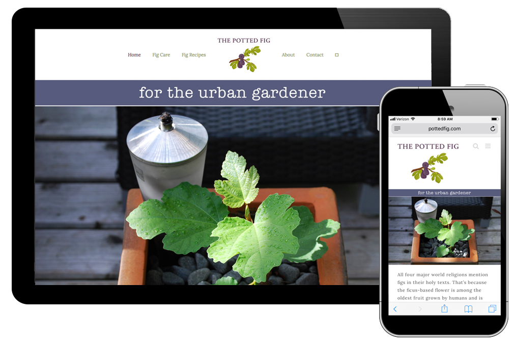 Photo of website for the Potted Fig