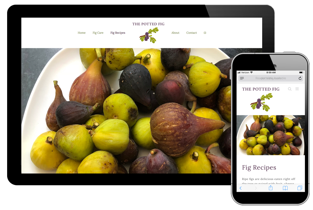 Photo of website for the Potted Fig