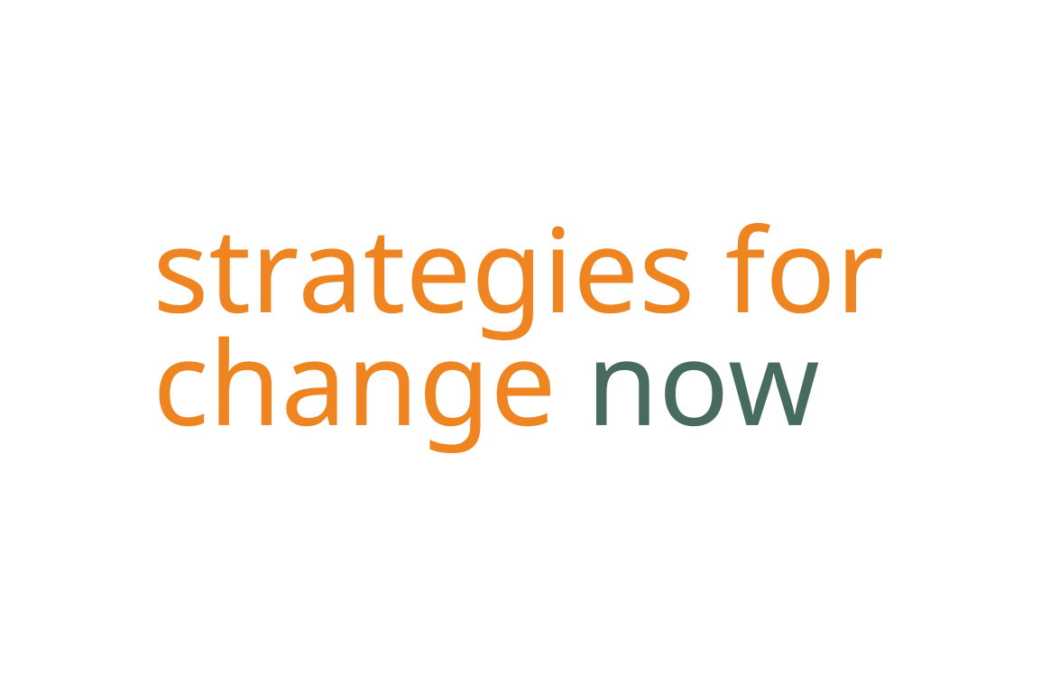 image of logo design for Strategies for Change Now