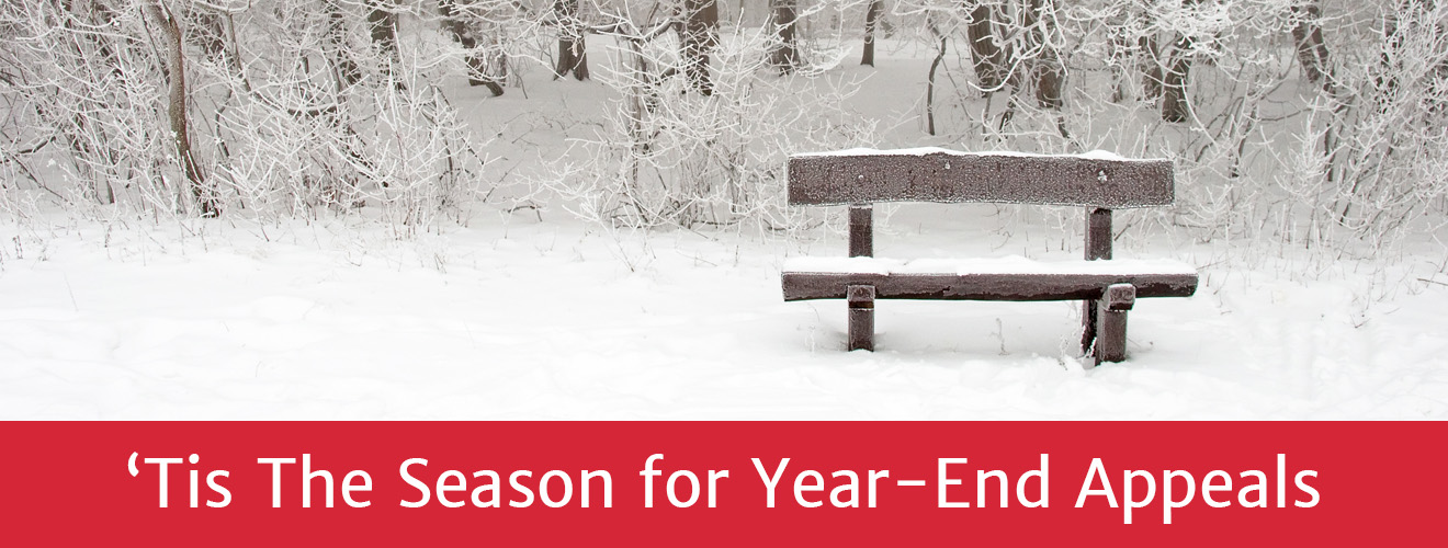 Tis the Season for Year-end Appeals