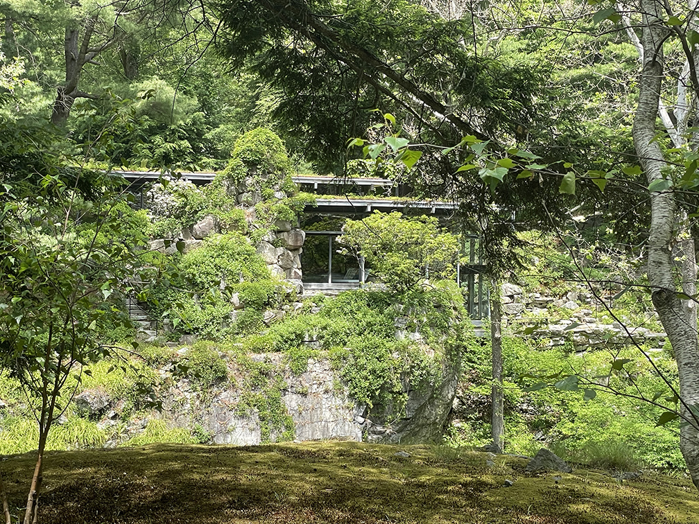 Manitoga moss lawn