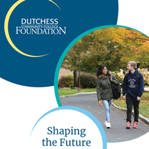 dccf strategic plan
