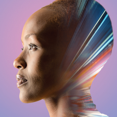 WLS Online resources brochure cover